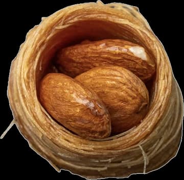 Mini Almond Bird's Nest (3 pcs)